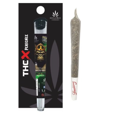 Ανώνυμο σχέδιο-2999